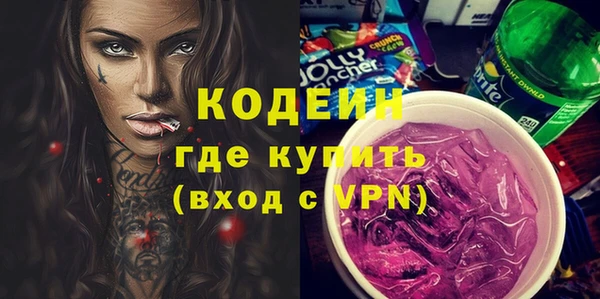 индика Балабаново
