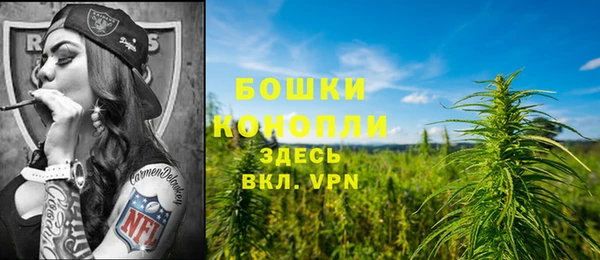 индика Балабаново