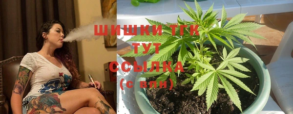 индика Балабаново