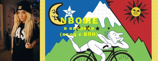 индика Балабаново