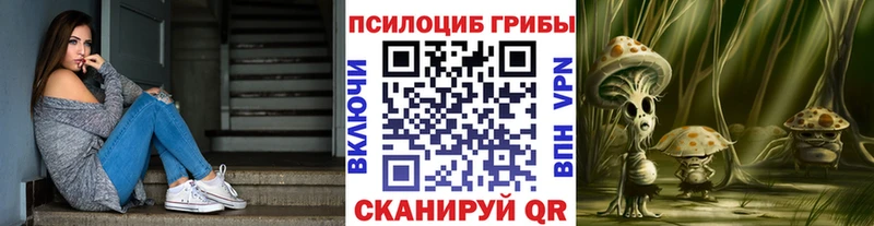 Псилоцибиновые грибы Psilocybine cubensis Балабаново