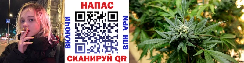 что такое   Балабаново  Каннабис THC 21% 
